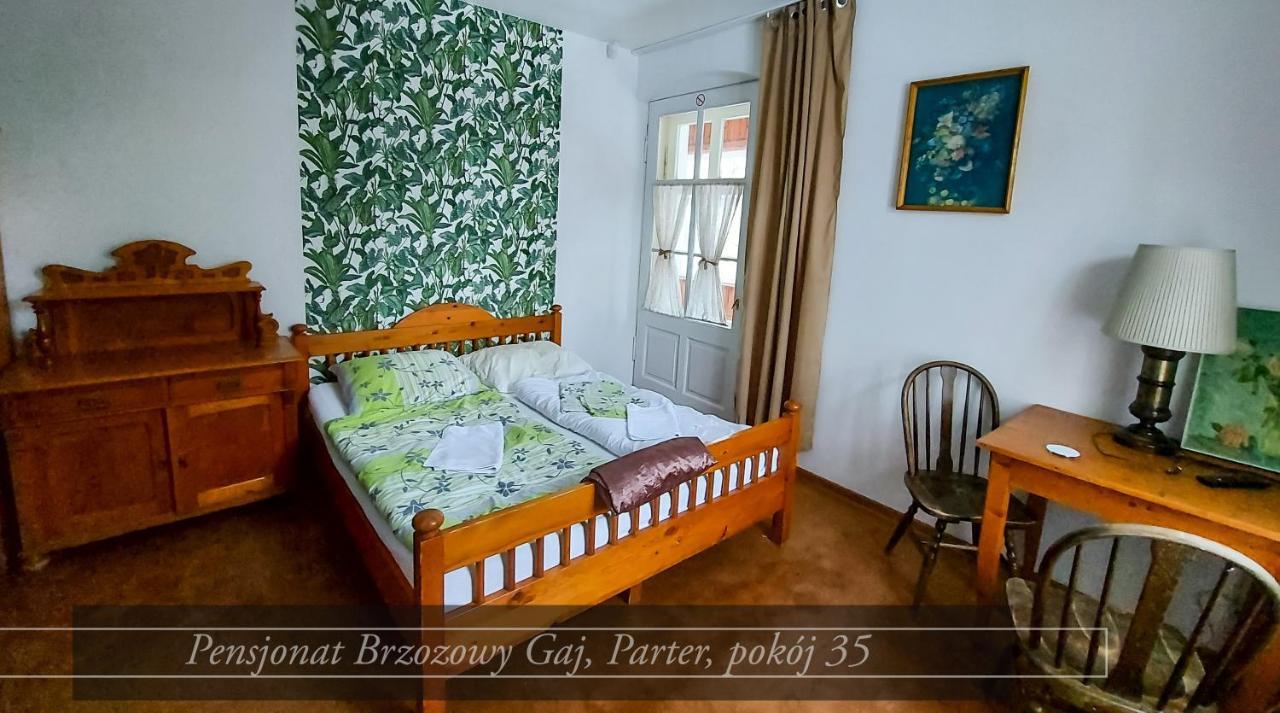 Brzozowy Gaj - Pensjonat 卡尔帕奇 外观 照片