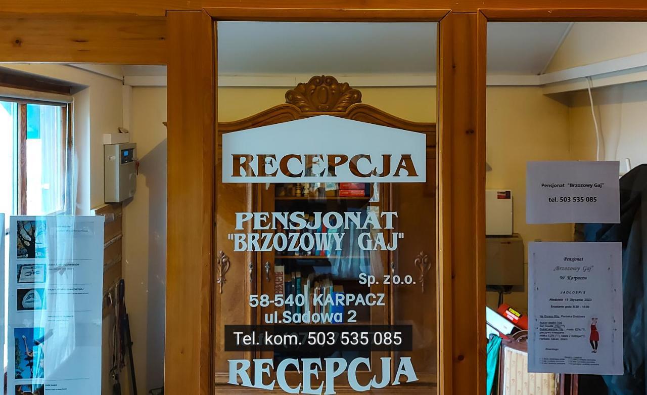Brzozowy Gaj - Pensjonat 卡尔帕奇 外观 照片